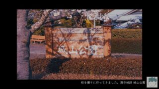 【photo shoot】桜を撮りに行ってきました。涌谷城跡・城山公園【photo editing】