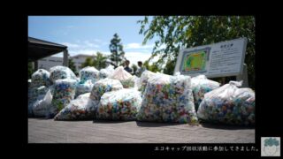 【SDG’s】エコキャップ回収活動を体験してきた。【ポリオワクチン】